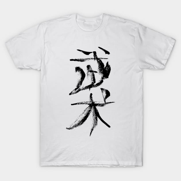 Wushu (chinese) T-Shirt by Nikokosmos